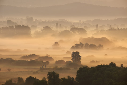 Germany, Baden-Wuerttemberg, Constance district, view to Radolfzeller Aach in the morning with fog