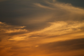 Sky clouds background. Cumulus clouds in the sunset. Color clouds in the evening. Sky with a pastel colored background