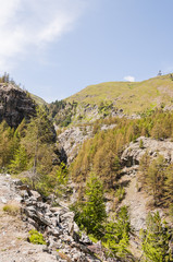 Zermatt, Furi, Hängebrücke, Wanderweg, Gornerschlucht, Schlucht, Gornera, Wildbach, Lärchenwald, Arve, Gletschergarten, Wallis, Alpen, Walliser Berge, Sommer, Schweiz