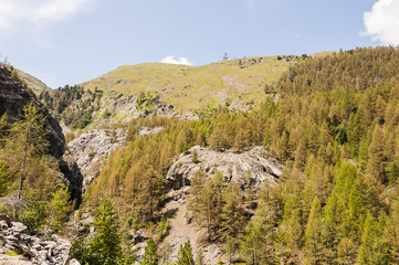 Zermatt, Furi, Hängebrücke, Wanderweg, Gornerschlucht, Schlucht, Lärchenwald, Arve, Gletschergarten, Wallis, Alpen, Walliser Berge, Sommer, Schweiz