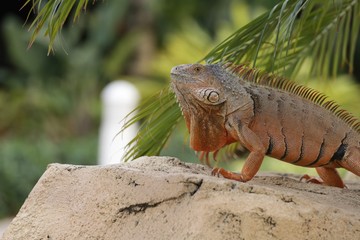 Hey, was bin ich für ein .....