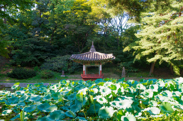 King's secret garden Palace Changdeokgung Seoul Korea