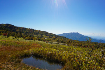 Autumn of Midagahara. 弥陀ヶ原の秋　日本　富山県立山町　立山黒部アルペンルート　餓鬼田、池塘