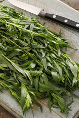 preparing fresh tarragon herb