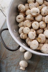 fresh uncooked mushrooms