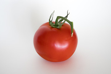 red tomato on a white background