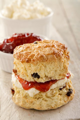 fresh baked scones