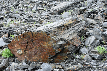 Worthington Glacier adjacent to Thompson Pass in southeastern Alaska
