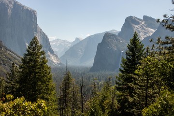 Fototapeta premium Tunnel View