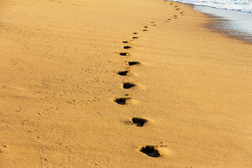 Fototapeta na wymiar traces of a lonely man on a sea sandy beach