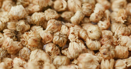 Medicine dry chrysanthemum