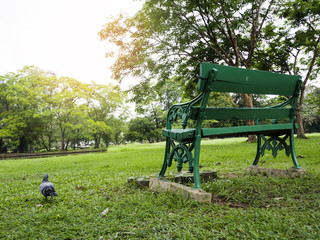 Green long chair or bench is in the park for new morning sunshine day.  Atmosphere is refresh, relax, warm, built up and bright life.