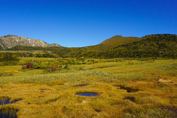 Fototapeta premium Autumn of Midagahara in Tateyama town, Toyama, Japan. 弥陀ヶ原の秋 日本 富山県立山町 立山黒部アルペンルート 餓鬼田、池塘