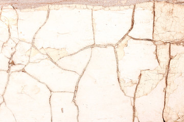 Obraz premium Old white painted piece of wood with cracked surface