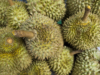 Naklejka na ściany i meble Huddle Durian, Mhonthong, king of fruits in Thailand.