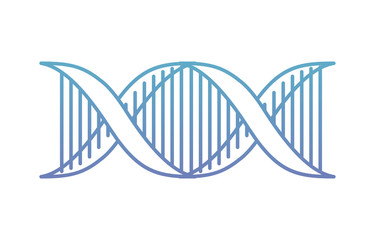 horizontal dna chain science color blue vector illustration design