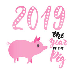 Illustration of pig as symbol of Chinese zodiac sign. 2019 Eastern pig year. Fun brush pink vector image for banners, greeting card, poster design.