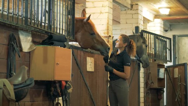 Horsewoman smiles patting a brown horse in a stable.