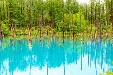 Blue pond