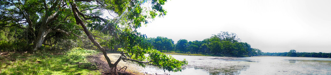 Obraz premium shore of a beautiful lake