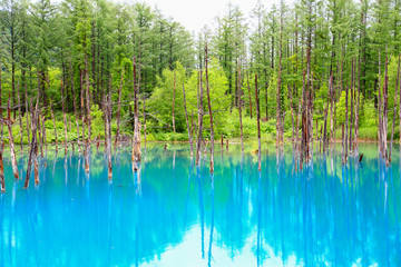 Blue pond