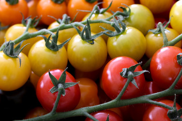 mixed heritage tomatoes © neillangan