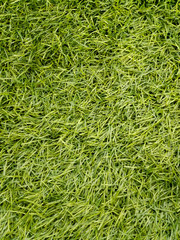 Texture or surface of plastic green grass background.