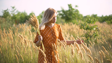 Beautiful young woman walks in the field collects a bouquet of flowers and spikelets. Portrait of attractive female on grass at sunset or sunrise 