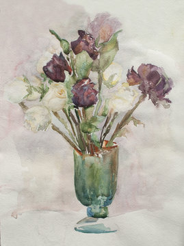 roses in a vase, watercolor drawing