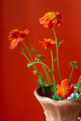 Vase with flowers. Clay vase with a pattern and red flowers on a red background.