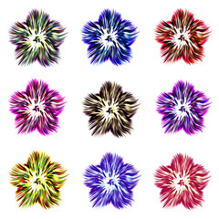 Colored isolated colored fireworks.
