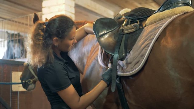 Horsewoman fastens belts on a saddle, close up.