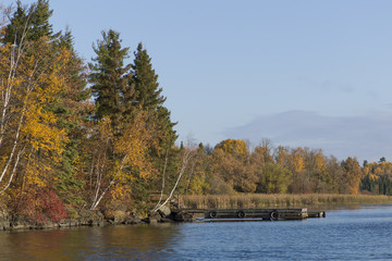 Trees at the lakeside, Kenora, Lake of The Woods, Ontario, Canada