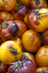 mixed heritage tomatoes
