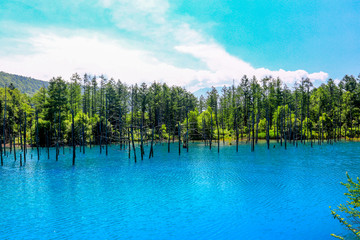 Blue pond