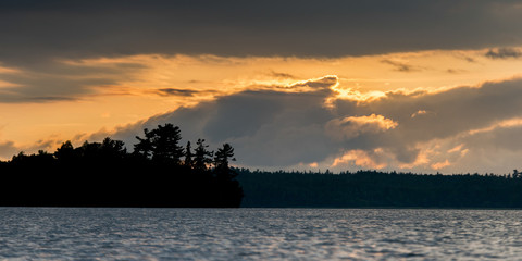 Trees at the lakeside at dusk, Lake of The Woods, Ontario, Canada