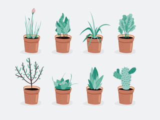 Set of house plant isolated vector flat illustration. Colorful house plants in pot for your design.