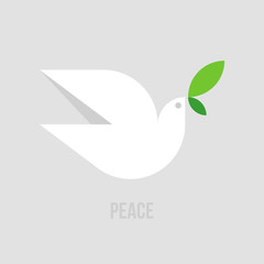 Peace dove. Flat style vector illustration of white pigeon with green leaves on gray background