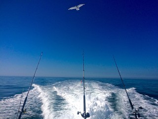 Ocean Fishing Summer Day on the Open Ocean © Dan