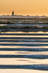 salt marsh at sunset