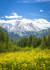 Fototapeta premium Alpine landscape in the Dolomites, Italy. 