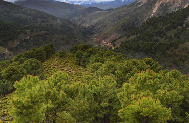 Andalucia mountain