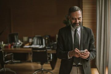 Portrait of senior businessman using cell phone in modern office