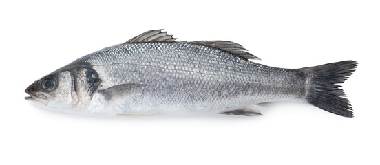 Sea bass fish