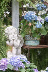 Cupid. A classic cupid statue decorated in a glass house, with hydrangea flowers.
