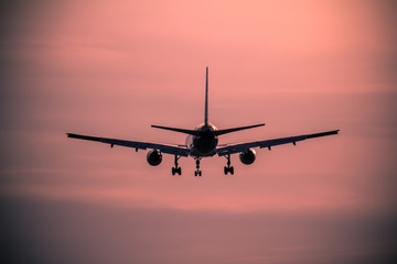 Fototapeta premium Airplane landing at sunset