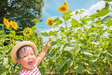 お花畑と子供