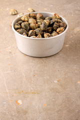 fresh uncooked clams