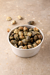 fresh uncooked clams