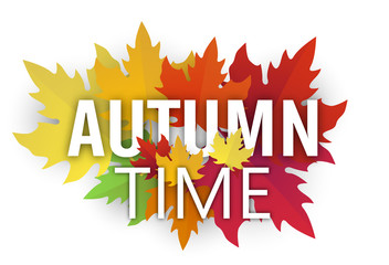 Autumn time card with beautiful maple leaves.